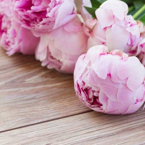 Meet your Posher, Melissa - Picture 1 of 1